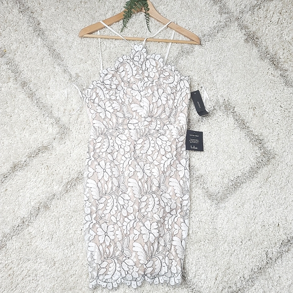 Delicate Darling Beige and Ivory Lace Bodycon Dress - Picture 11 of 12